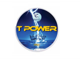 Fir textil Baracuda T Power 100m-0,35mm/ 22,7kg