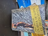 Un secol de luptă cu delincventa vintage