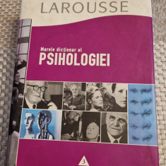 Marele dictionar al psihologiei larousse