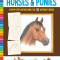 How to Draw Horses &amp; Ponies: Step-By-Step Instructions for 20 Different Breeds