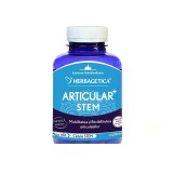 Articular Stem Herbagetica, 120 capsule - Refacere Articulatii, Mobilitate, Antiinflamator, Celule Stem, Alga AFA, Cartilaj Rechin