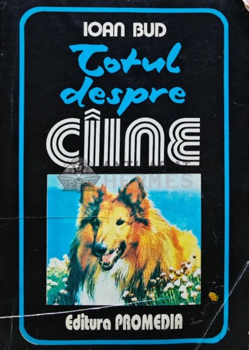 Totul despre caine - 1993 - Ioan Bud (Y356)