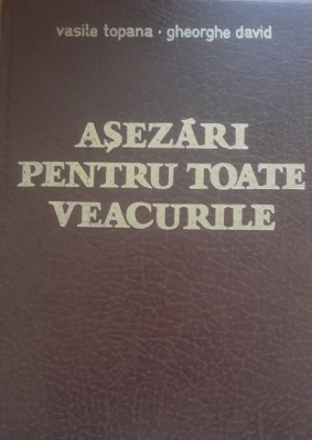 Asezari pentru toate veacurile - Vasile Topana, Gheorghe David foto