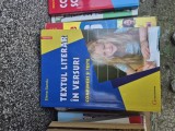 Textul literar &icirc;n versuri vintage