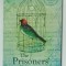 THE PRISONERS &#039; DIARIES , edited by NORMA HASHIM , PALESTINIAN VOICES FROM THE ISRAELI GULAG , 2013