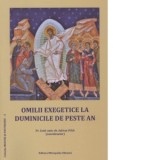Omilii exegetice la Duminicile de peste an - Adrian Ivan