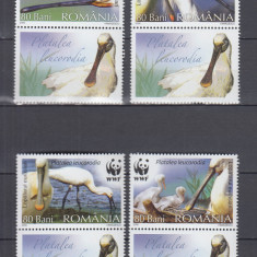 ROMANIA 2006 LP 1744 a PASARI PROTEJATE LOPATARUL EURASIAN WWF SERIE+VG.SARNIERA