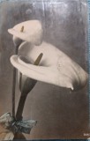 Carte postala, 1908