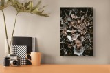 Tablou Canvas, "Ciuperci uscate &icirc;n așternut de pădure", Ciuperci, Textură, Natură, Organic, Complexitate, Fascinant, Detaliu, Umbre, Tonuri, Păm&acirc;ntii,