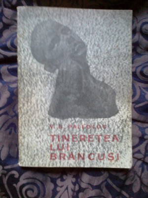 h0a TINERETEA LUI BRANCUSI- V.G. PALEOLOG foto