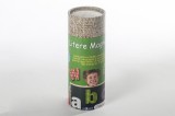 LUMEA MAGNETILOR - LITERE MAGNETICE