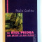 LA RAUL PIEDRA AM SEZUT SI-AM PLANS de PAULO COELHO , 2002