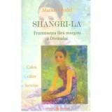 Cumpara ieftin Shangri-La. Frumusetea fara margini a divinului - Marius Ghidel