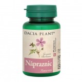 Napraznic Dacia Plant 60cpr