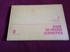 IOAN VANCEA - RASE DE PASARI DOMESTICE foto