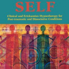 Healing the Divided Self: Clinical and Ericksonian Hypnotherapy for Dissociative Conditions