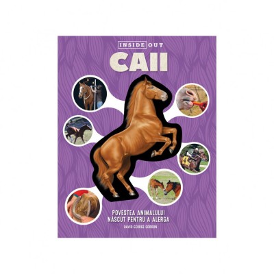 Caii - 3D - Editura Kreativ foto