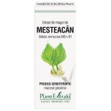 Extract din Muguri de Mesteacan 50ml PlantExtrakt