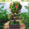 Bonsai artificial cu flori roșii