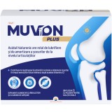 Muvon Plus, Sun Wave Pharma, supliment alimentar esential pentru miscare, 30 plicuri