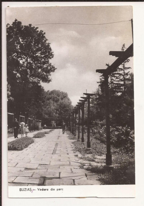 Carte Postala veche - Buzias , Vedere din parc circulata 1959