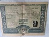 Brevet DIPLOMA DE BACALAUREAT , perioada Romania Regala, splendida