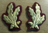 C7 11 - petlite militare - laur mare - violet medicina - piesa de colectie