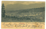 1416 - PREDEAL, Panorama, Railway Station, Litho - old postcard - used - 1902, Circulata, Printata