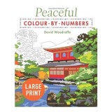 Large Print Peaceful Colour-by-Numbers