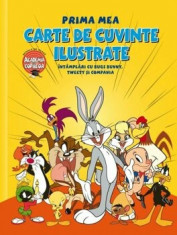 Prima mea carte de cuvinte ilustrate. Intamplari cu Bugs Bunny, Tweety si compania/*** foto