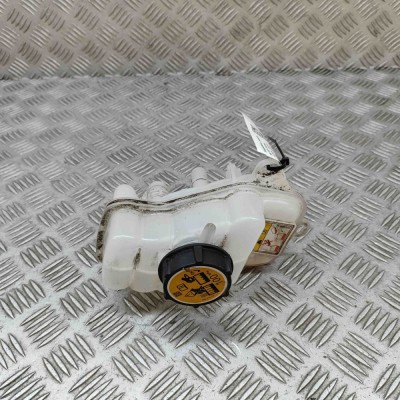 Vas de expansiune JAGUAR I-PACE X590 2018 OEM: J9D3-8D158-AC 31716196 foto