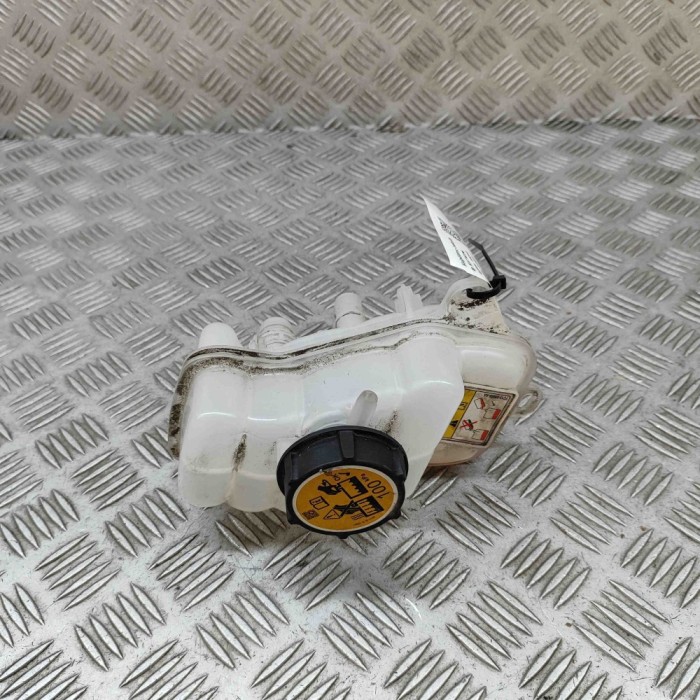 Vas de expansiune JAGUAR I-PACE X590 2018 OEM: J9D3-8D158-AC 31716196