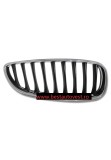 Grila radiator Bmw Z4 (E89), 05.2009-, dreapta, negru, 51712150252, 203605-4, Rapid