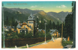 932 - SINAIA, Prahova, Vila Furnica, Romania - old postcard - unused, Necirculata, Printata