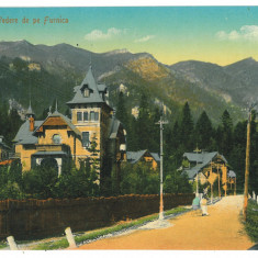 932 - SINAIA, Prahova, Vila Furnica, Romania - old postcard - unused