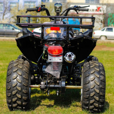 Atv Warrior Nitro Akp 150Cc Cutie Automata D-N-R