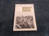 EUGENIA GRECEANU - MONUMENTE MEDIEVALE DIN MEDIAS