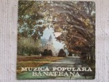muzica populara banateana selectii disc vinyl lp folclor banatean achim nica dumitru chepetan ana pacatius florentin Iosif etc electrecord EPE 0284 VG