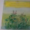 Schumann, Smetana- Ferenc Fricsay