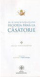 Carte religioasa tineri feciorie casatorie stare buna romana brosata 160 pagini 2016