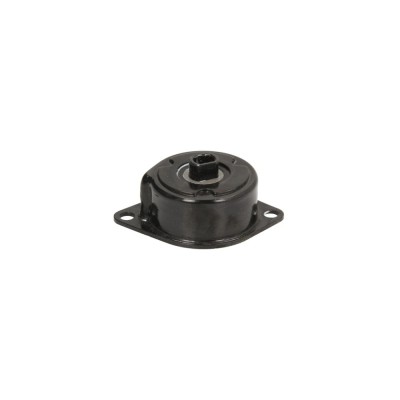 Intinzator curea SKODA FABIA 6Y2 DAYCO APV3184 foto