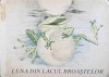 LUNA DIN LACUL BROASTELOR-TEXT: ERNI SIMMICH, ILUSTRATII: REGINE GRUBE-HEINECKE-211619