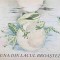 LUNA DIN LACUL BROASTELOR-TEXT: ERNI SIMMICH, ILUSTRATII: REGINE GRUBE-HEINECKE-211619