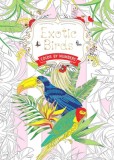 Exotic Birds Us: Color by Numbers
