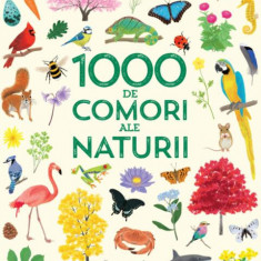 1000 de comori ale naturii - Paperback brosat - *** - Litera mică