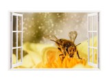 Sticker decorativ, Fereastra 3D, Albina, 85 cm, 279STK, natura si peisaje