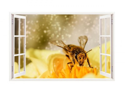 Sticker decorativ, Fereastra 3D, Albina, 85 cm, 279STK foto