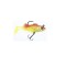CICADA JAXON MAGIC FISH 8CM 16GR I
