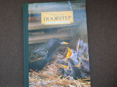 WILDLIFE ON YOUR DOORSTEP ALBUM FOTO DE LUX foto