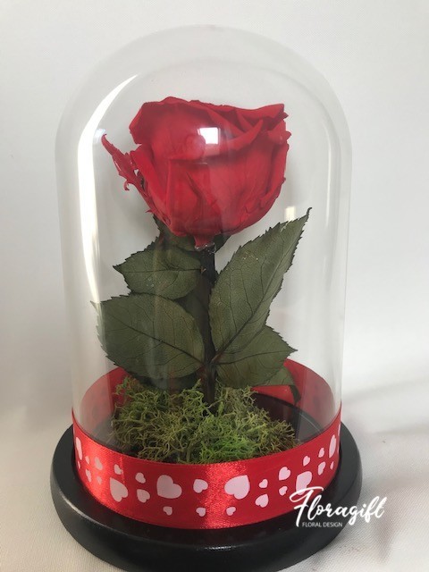 Trandafir criogenat rosu Valentine, diametru floare 8 cm Trandafir criogenat rosu Valentine, diametru floare 8 cm